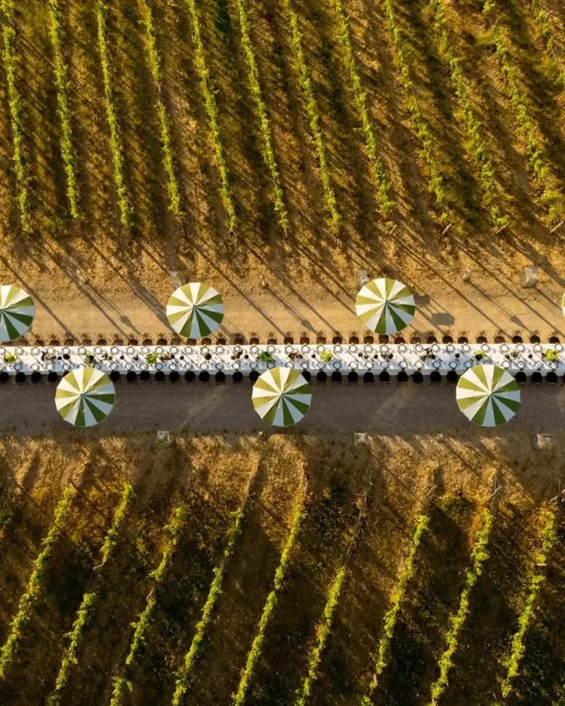 An aerial view of a long table among the vineyard rows